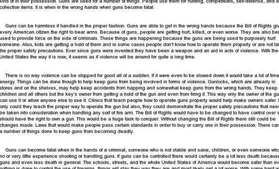 Essay on violence