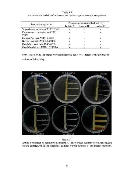 Actinomycetes isolation agar composition writing glycerol     
   Before farther