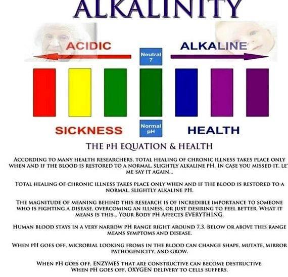 Alkalize your body definition writing one natural sugar substitute