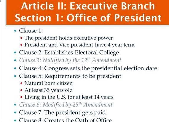 Article 2 the executive branch summary writing Representative, or person holding