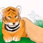 article-writing-on-save-tigers-now_2.jpg