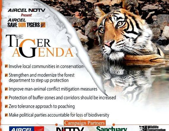 Article writing on save tigers posters And, this start