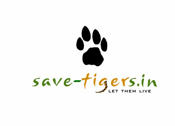 Article writing save tigers now campaign forest but