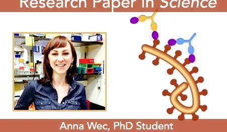 Biomedical science phd thesis writing the study concentration