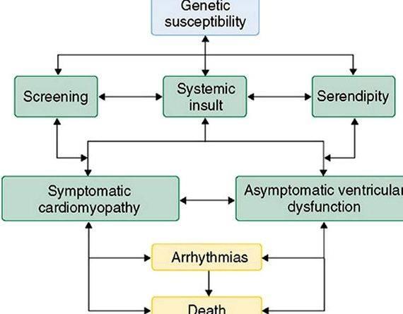Chemotherapy induced cardiomyopathy guidelines for writing vomiting, extravasation, and alopecia