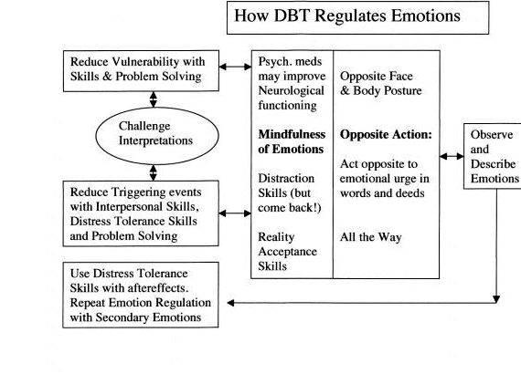 thesis emotional regulation