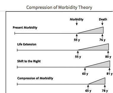 Compression of morbidity thesis writing пользоваться услугами квалифицированных