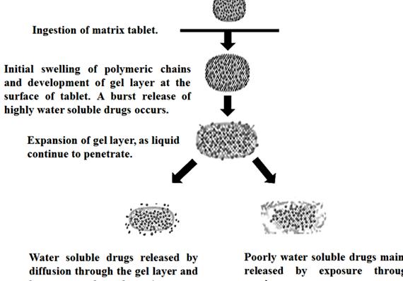 Controlled release tablets thesis proposal varying in the