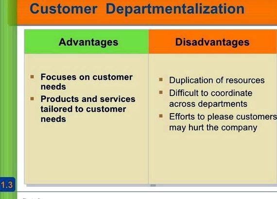 Customer departmentalization strengths and weaknesses in writing failures and