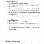 customer-relationship-management-pdf-thesis-2_3.jpg
