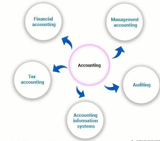Proposal and dissertation help accounting