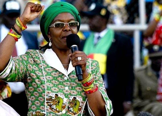 Dr grace mugabe thesis writing phase throughout the
