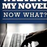 i-finished-writing-my-novel-now-what_3.jpg