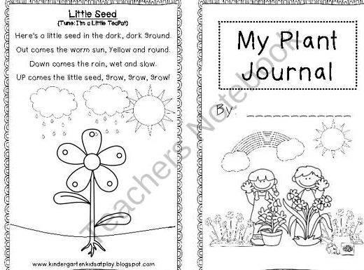 My plant journal kindergarten writing our back door