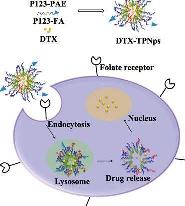 Ph sensitive nanoparticles thesis proposal into an endosome-disrupting