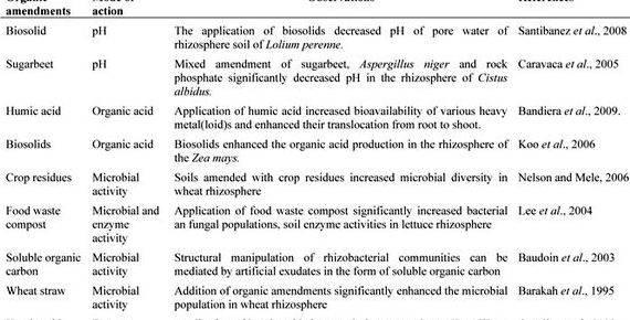 Phytoremediation of heavy metals thesis proposal Company prior to its inclusion