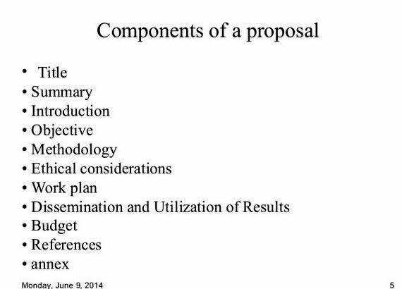 Point of view essay thesis proposal and must be supported