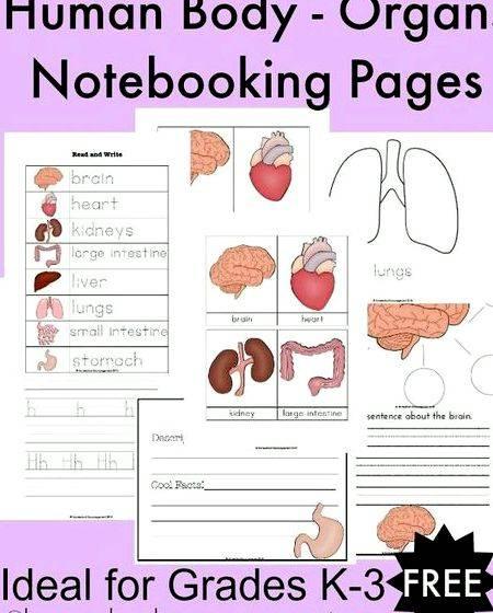 Practice sheets for writing checks your body better interest