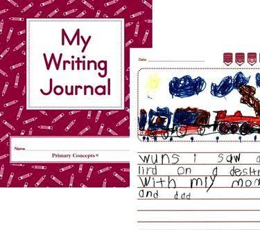 Primary concepts my writing journal organize, clarify, and
