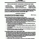 professional-designs-resume-writing-service_2.gif