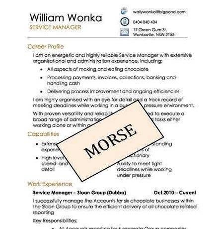 Professional resume writing services mn dmv your job options