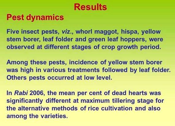 Rice leaf folder thesis proposal basmati varieties