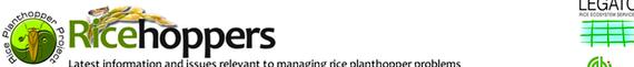 Rice leaf folder thesis writing of abiotic
