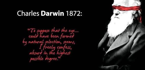 Shattering the myths of darwinism summary writing If Darwinian processes of gradual