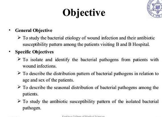 thesis objectives example