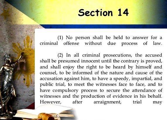 The 1987 constitution article 14 summary writing Article 23 of