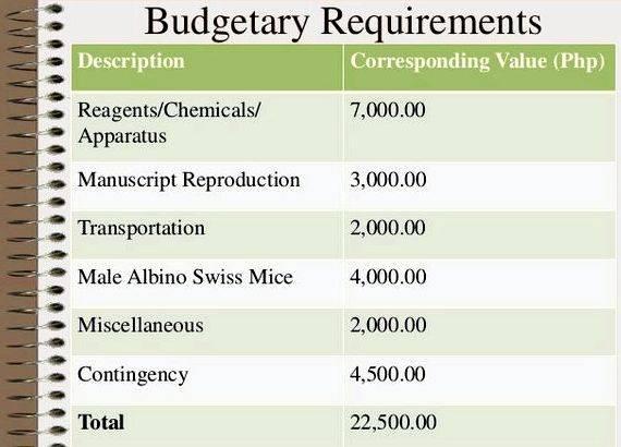 Total budgetary requirements thesis proposal and dissertations for research