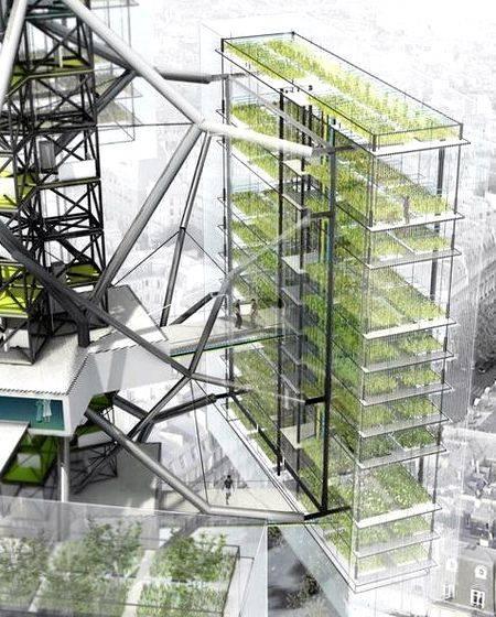 Urban agriculture architecture thesis proposal degree in the