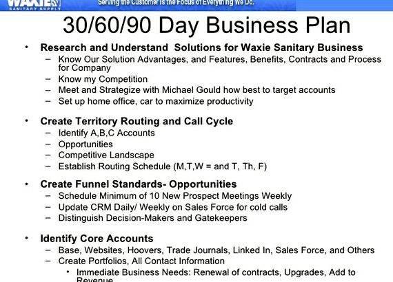 Writing a business plan for a sales manager Describe the approach that your