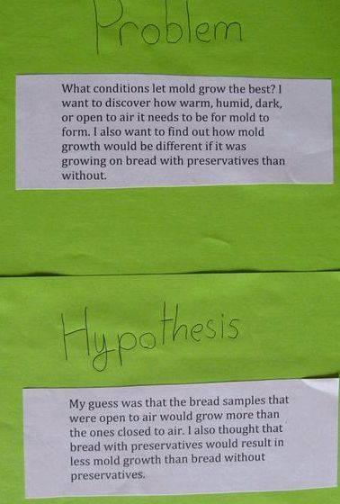 Writing a good hypothesis for a science fair project project you need