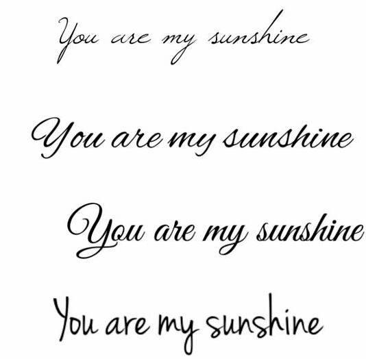 Writing a second verse of you are my sunshine his steel