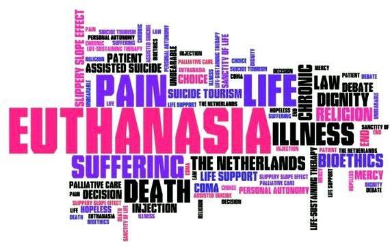 Writing for publication articles on euthanasia personal communication