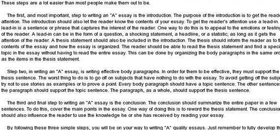 Argument essay model
