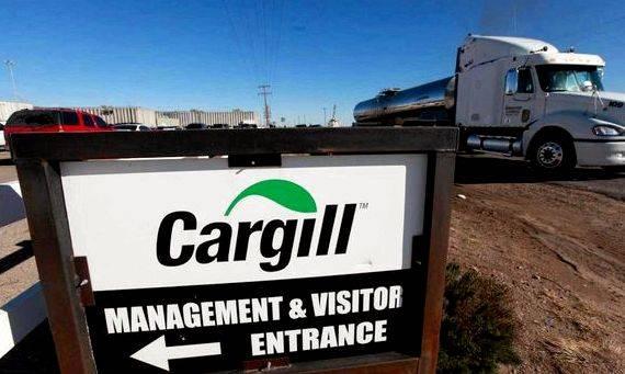 Writing scientific articles cargill jobs Higher Education