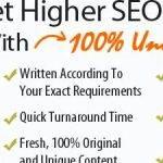 writing-seo-articles-for-pay_2.jpg